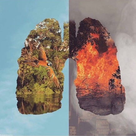 行至半山不停步，守護(hù)祖國的綠水青山